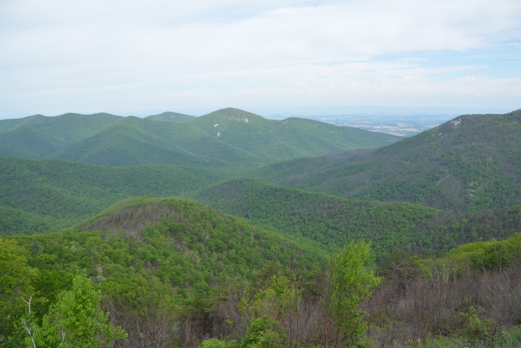 The endless ridges, gullies, peaks and rolling hills of the Blue Ridge Parkway