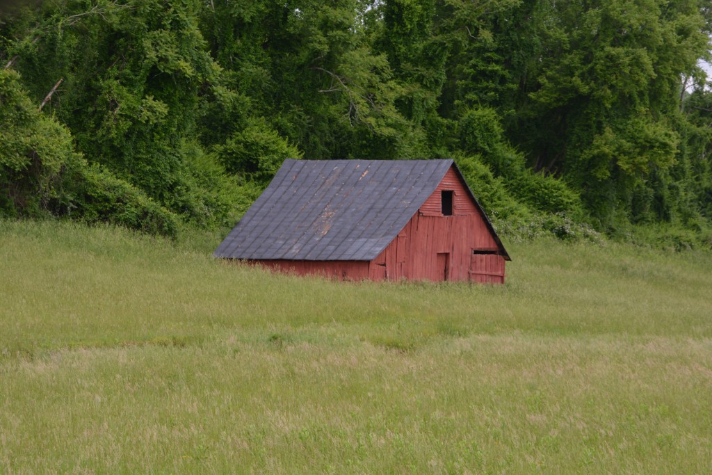 The countryside of rural Virginia was spectacular, especially with the long uncut grasses in the fields