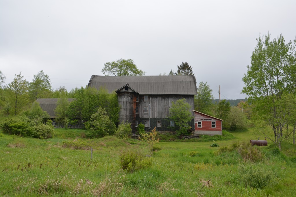 We periodically go through these periods of obsessions with old barns and we saw some good ones in the Catskills
