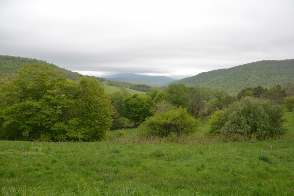 We didn't get too many great vista views of the mountains but this one gives you a hint