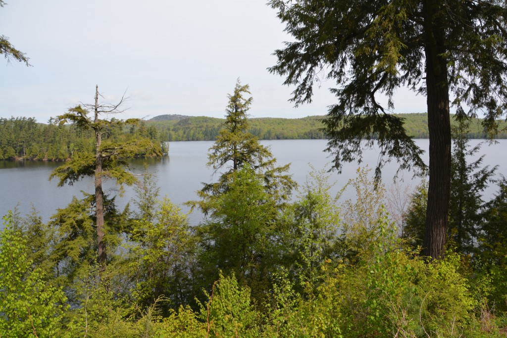 The Adirondacks are where mountains, forests and lakes beautifully collide