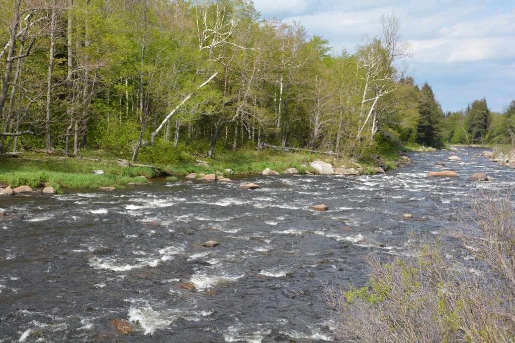 One of the many fast moving rivers cutting through the Adirondacks