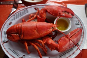 Sorry mate, one last photo and then it was time to eat