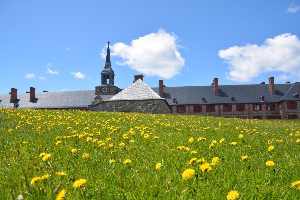 The sun was out and that meant the daisies were out at the Louisbourg historic village