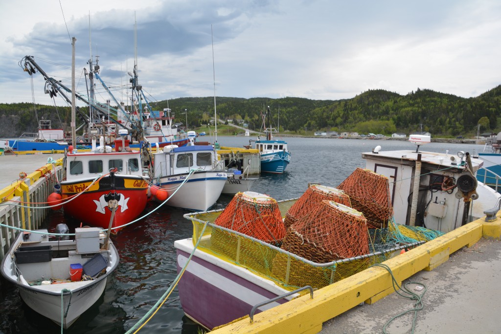 Fishing boats fill every little protected cove with either their rectangular lobster traps or their large round snow crab traps 