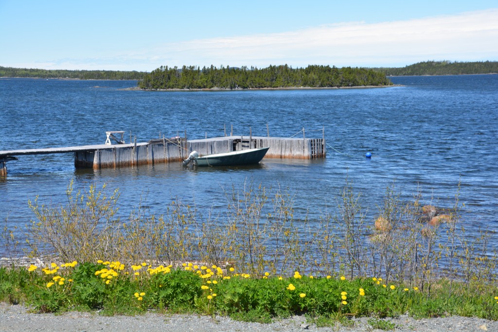 There must be a thousand lakes in Newfoundland and the spring sunshine brought out some extra colour