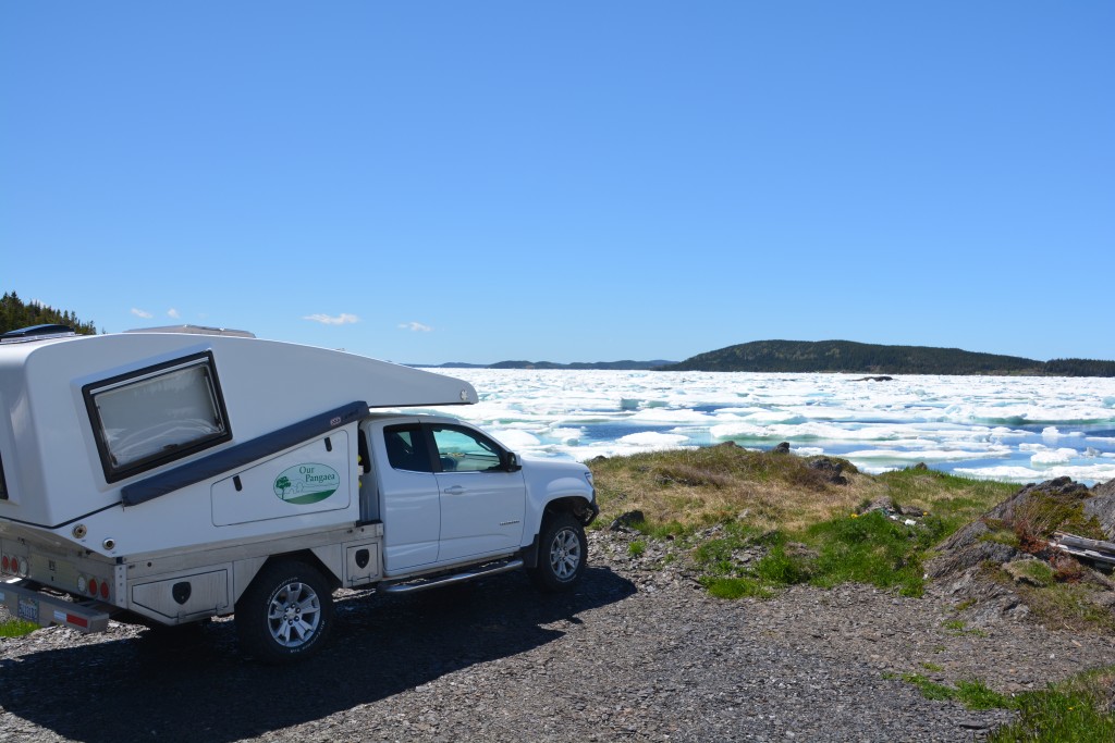 We were told we might see a few icebergs so we were blown away by the scale - icebergs crammed into the little harbours and coves, sometimes literally as far as we could see