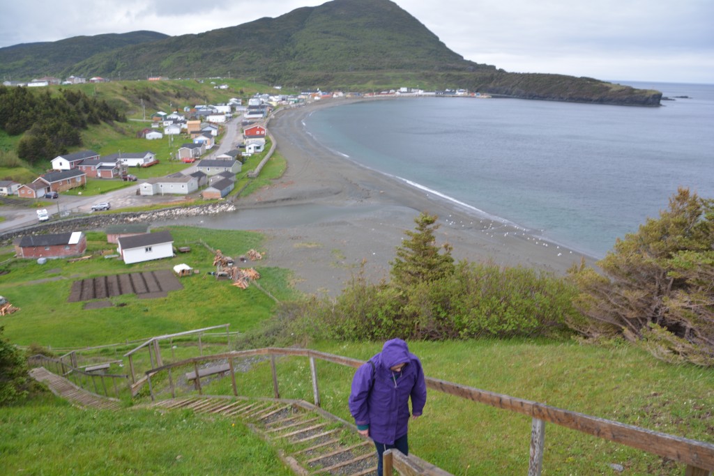 We trudged up the hill in some pretty average weather to get a broader view of the community of Trout River and the surrounding landscape