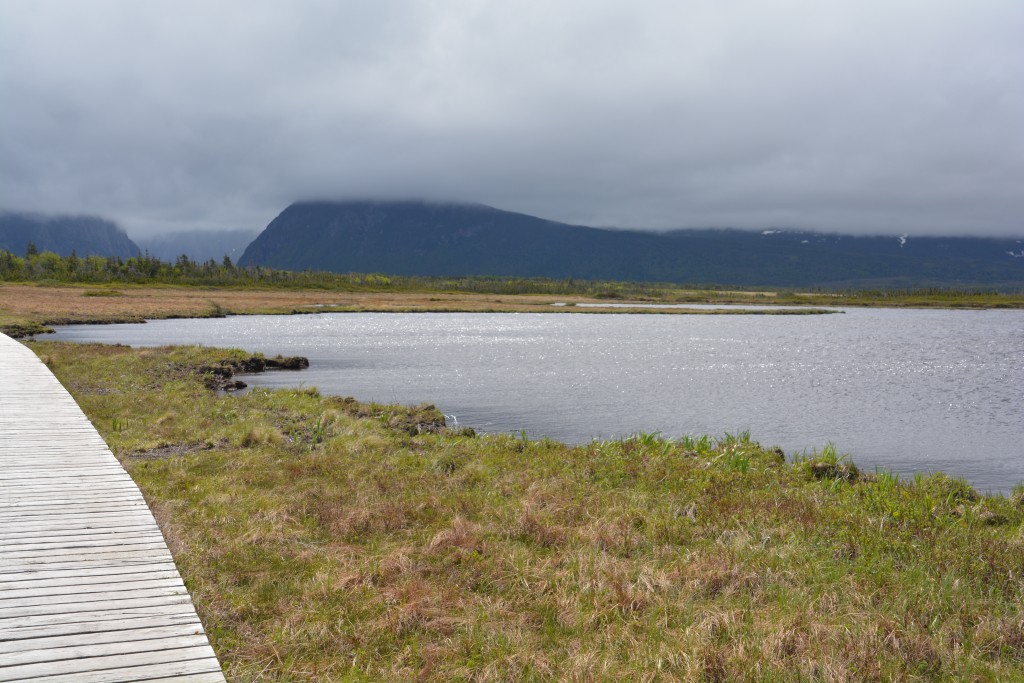 The walk back to Walker Basin Pond was across peat, around lakes and through forests