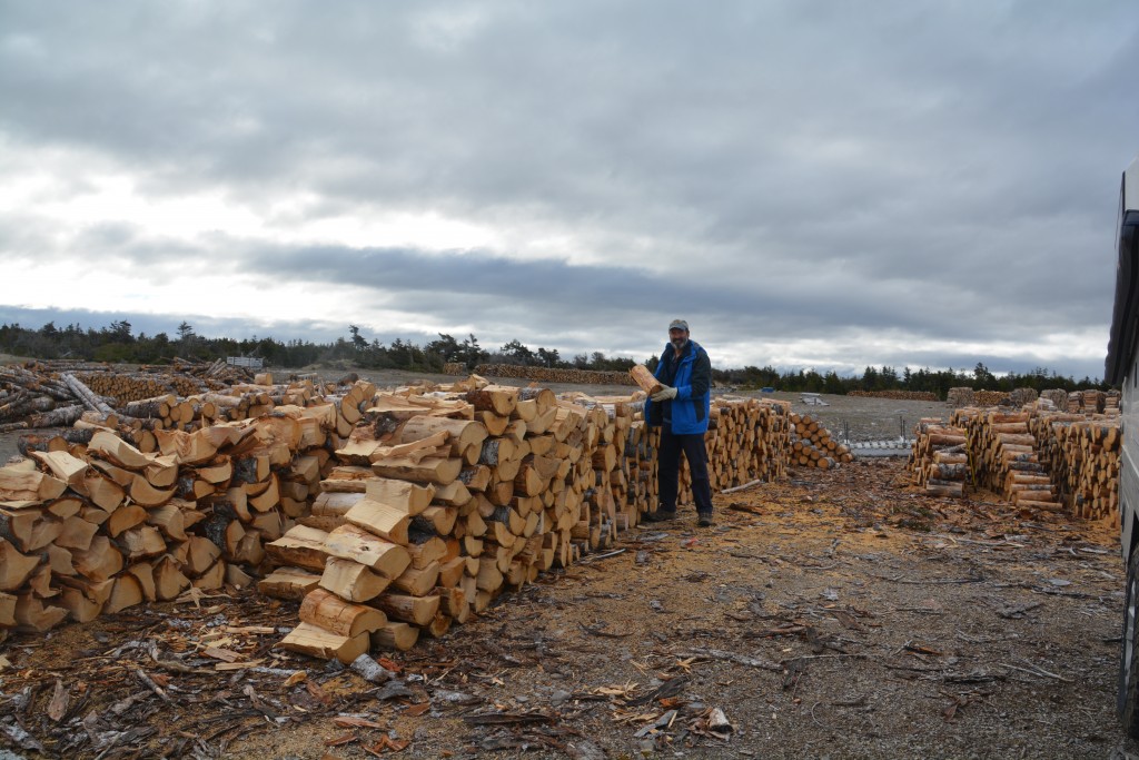 One of the amazing standout features of Newfoundland is the endless piles of firewood on the side of the road. People cut it in winter, stack it in summer to dry and then burn it the following winter. They're everywhere!