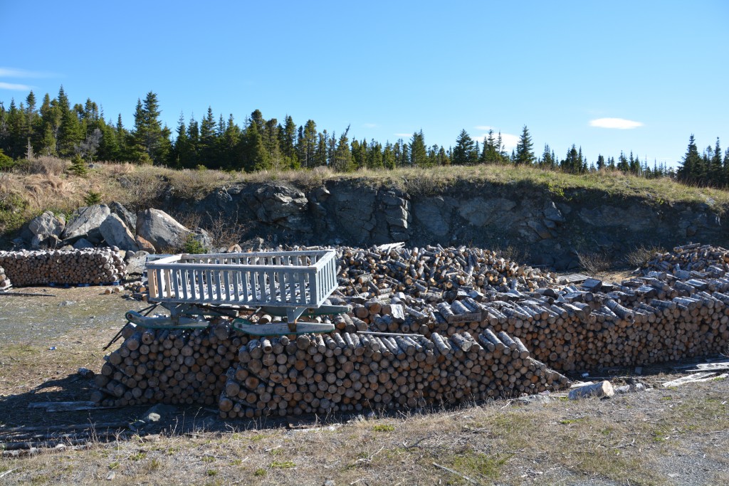 Another typical scene - some local bloke has got his firewood needs sorted out for a few years, thanks to his trusty sled