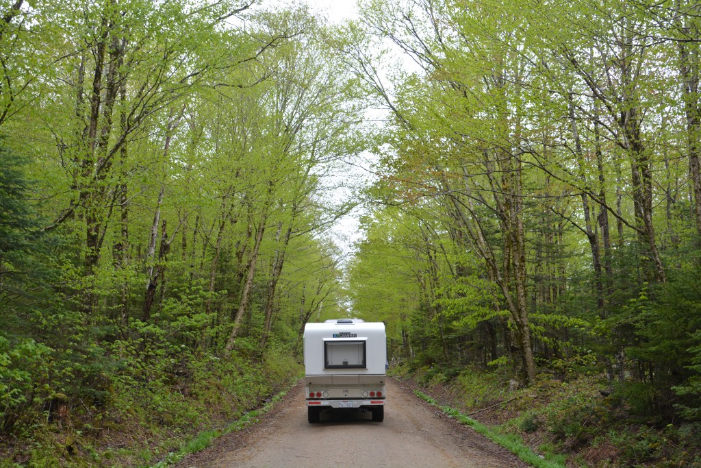 We found some beautiful dirt tracks to follow through the forests