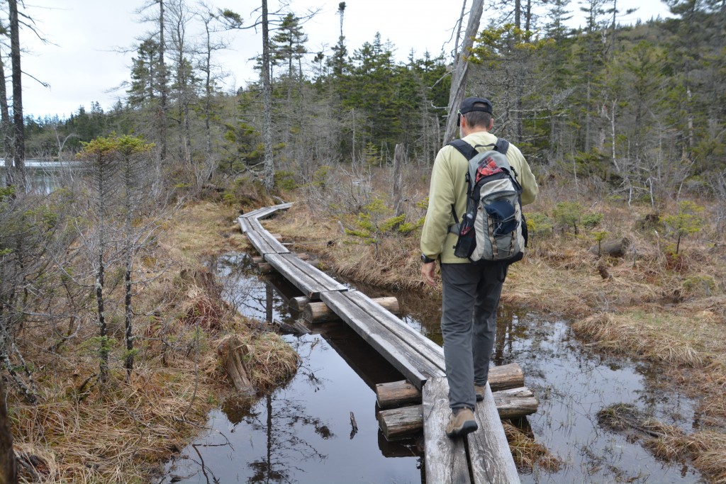 The walk up to Lonesome Lake included crossing some fairly swampy areas