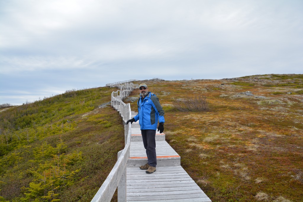 We did an awesome boardwalk walk up to the hill above Red Bay which gave us great views of the bay, island and coastline