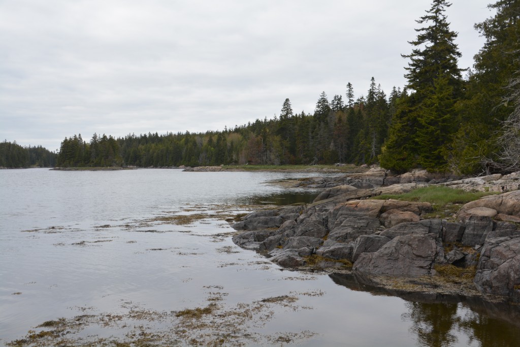 A late afternoon walk on a cold quiet inlet bay on the Scoodic Penninsula