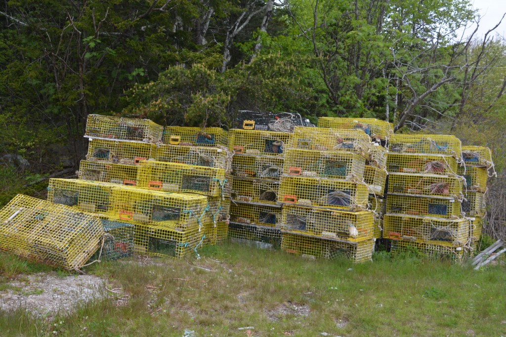 Unused lobster traps are a feature in many front yards of fishermen's homes