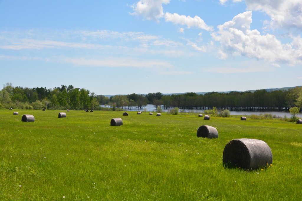Rich farmland lines the banks of the St. John River for their short growing season