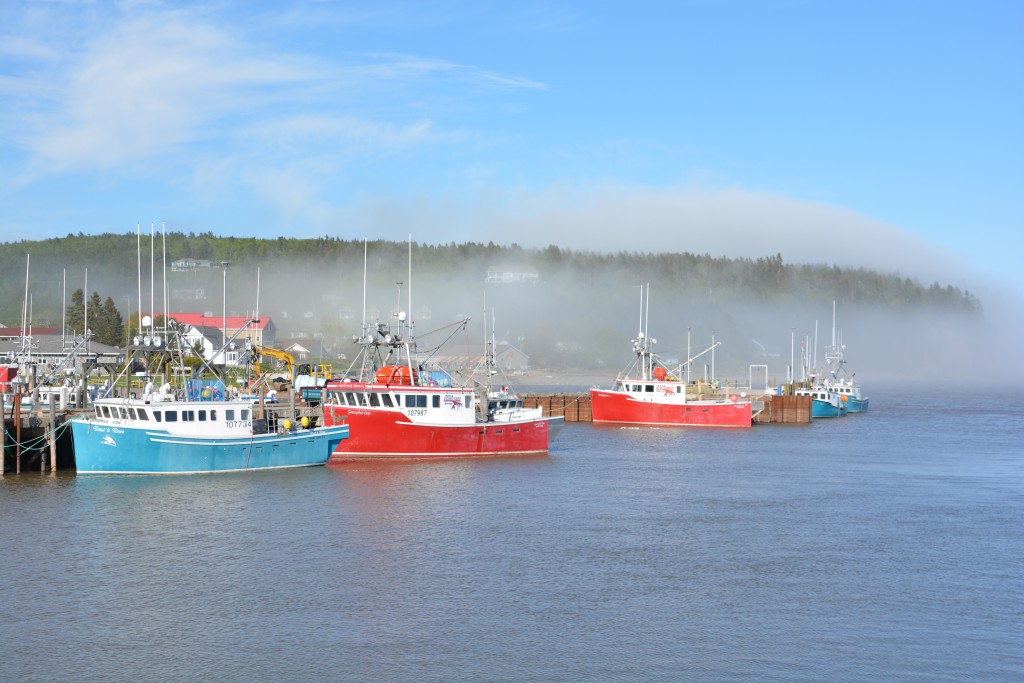 The fishing boats in the foggy little town of Alma on the Bay of Fundy when the tide is high