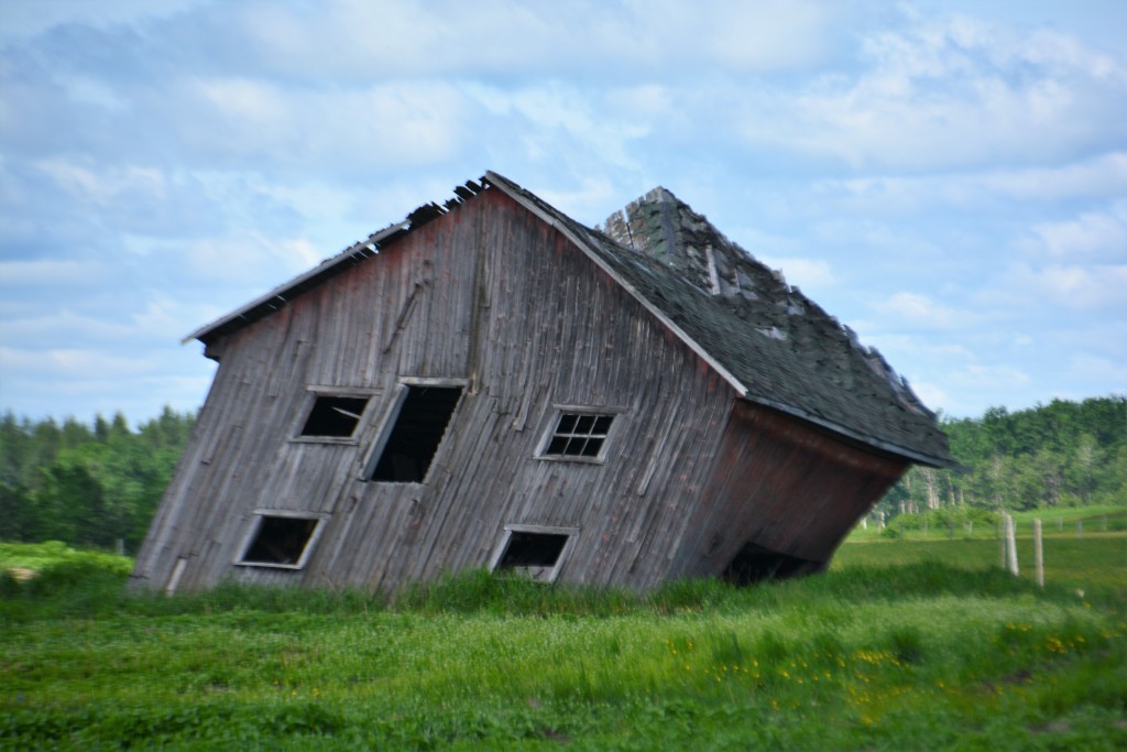 Our favourite - good thing we weren't a day later!