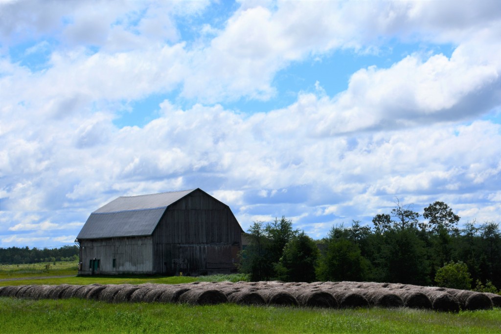 We reached more farming areas around the lake and went through a phase of photographing beautiful old barns