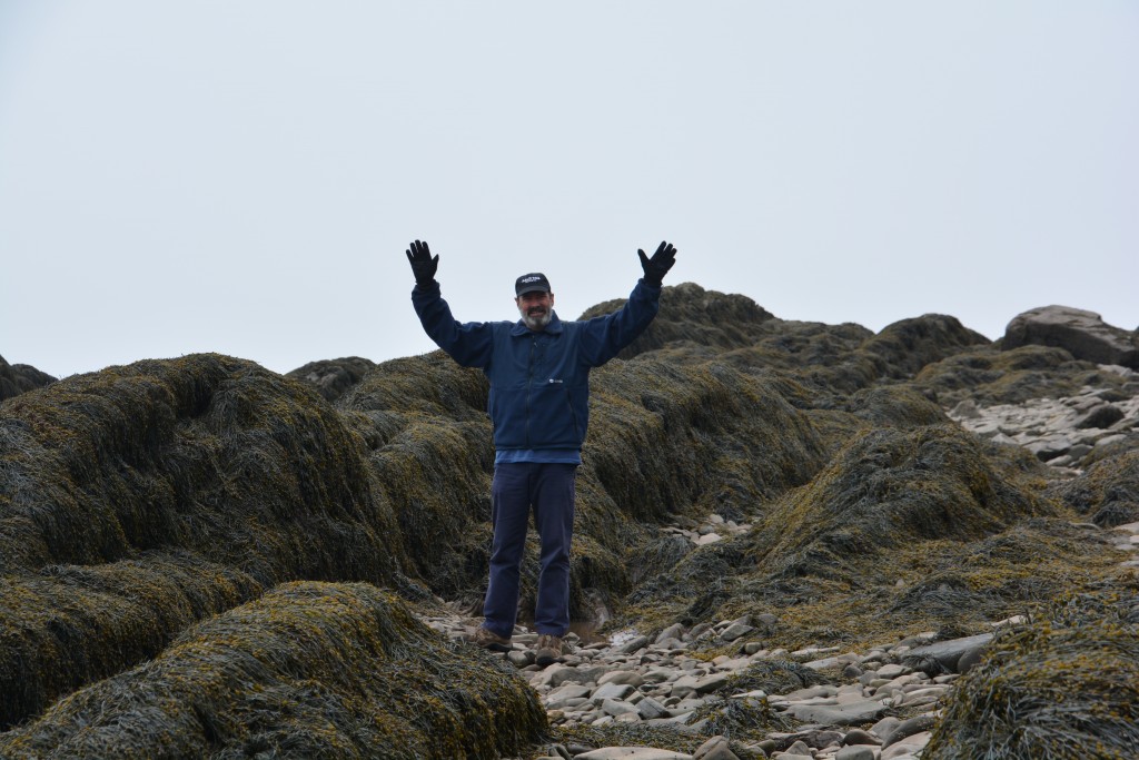Walking on the ocean floor with all the seaweed at low tide - you can't do that every day!