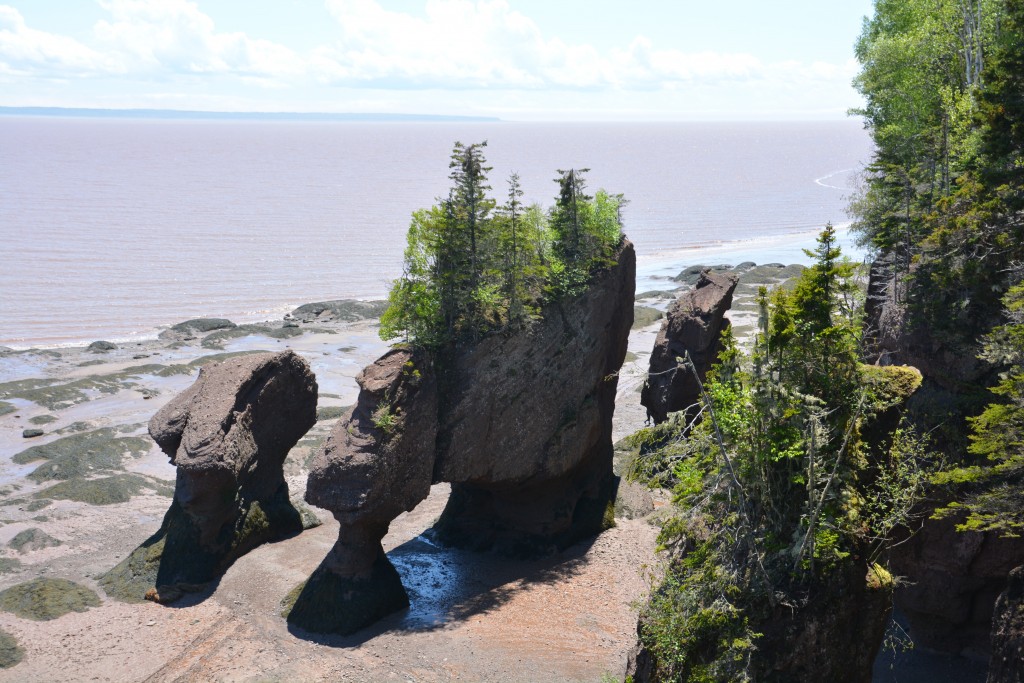 Hopewell Rocks - a strange geographic phenomenon fully visible at low tide