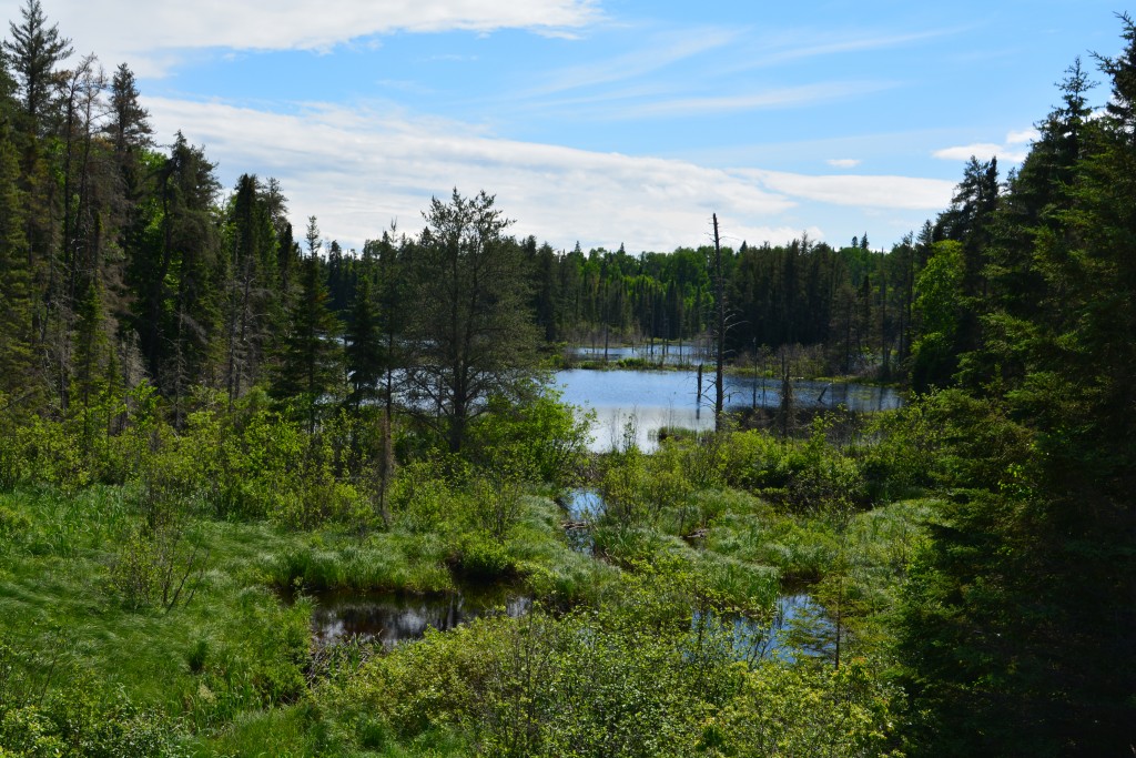 The scenery in northern Ontario was awesome - if you like thick green forests and beautiful mountain lakes
