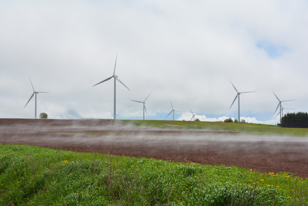 Strange stuff...amongst a grove of wind turbines a misty steam comes off the recently plowed fields