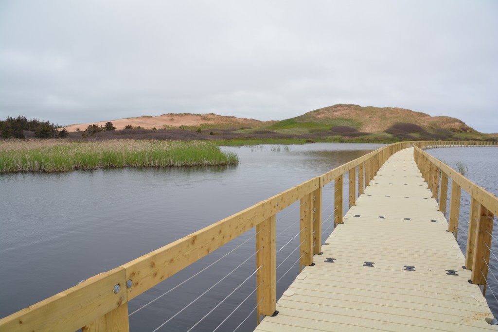 The floating boardwalk allowed us access to this lake trapped behind the sand dunes