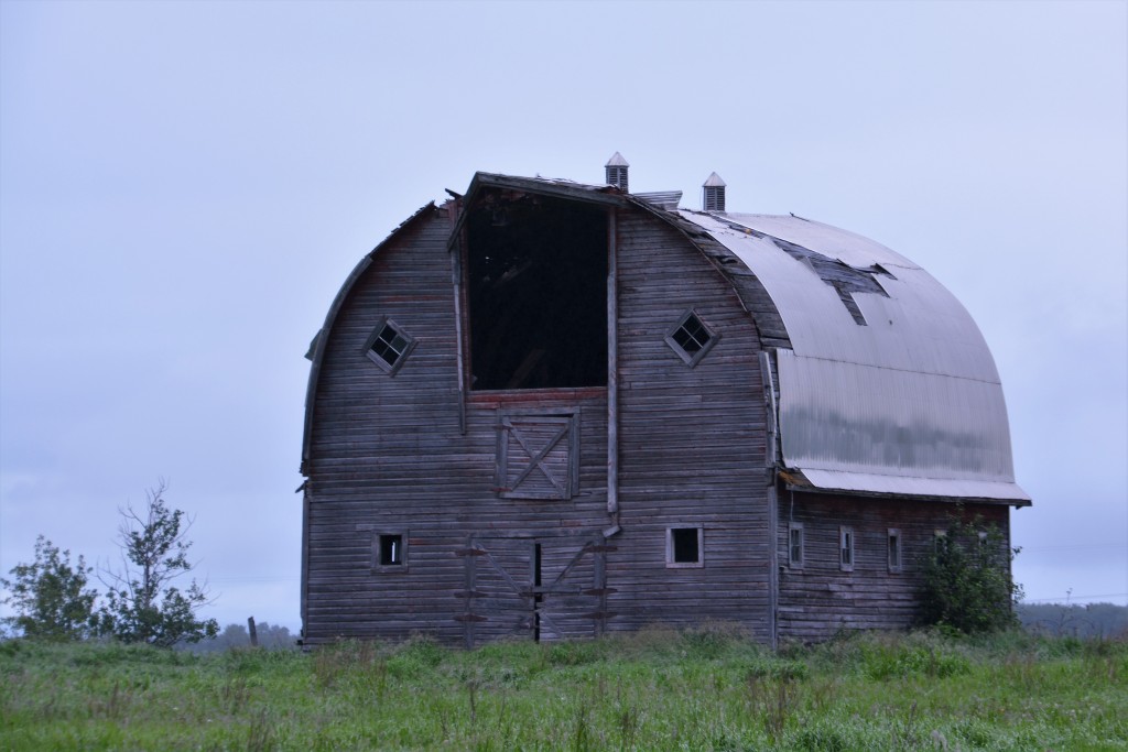 Of course there were also some awesome old barns
