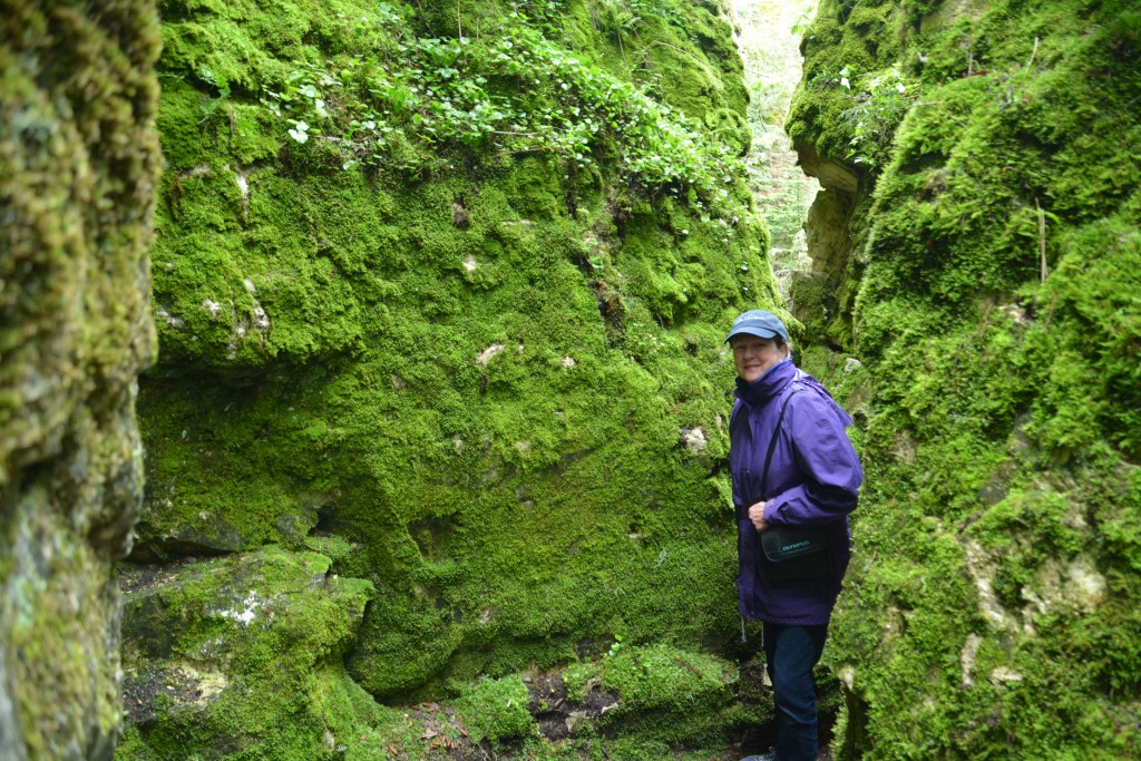 Our short walk in Clearwater Provincial Park saw us weaving our way through narrow moss-covered crevasses in the rock
