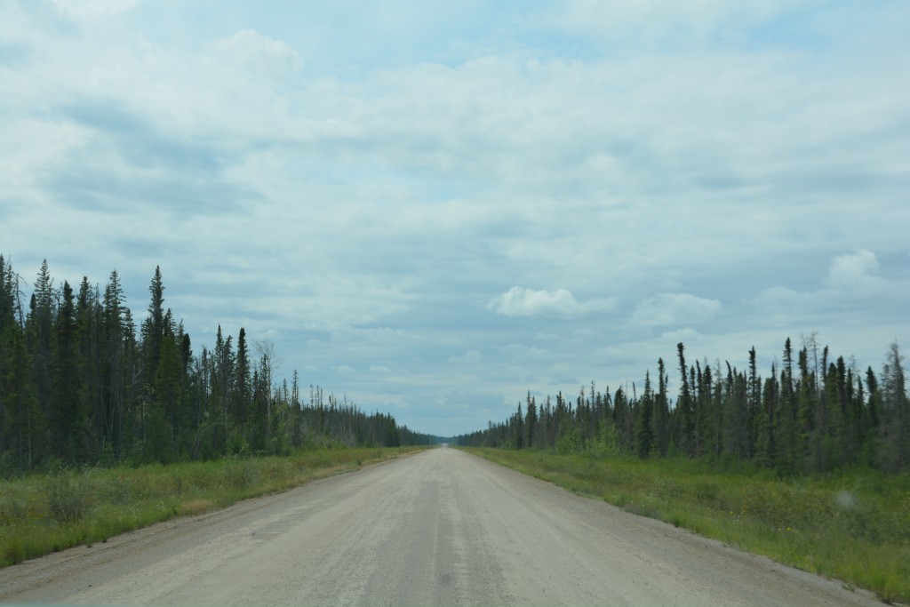 Sometimes the roads just kept going and going, usually dirt and gravel, always blue spruce on both sides