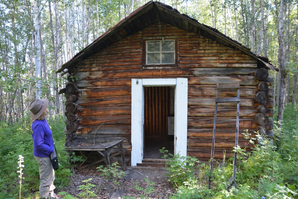 An old trapper's hut on the Laird River - a tough life over 100 years ago in such a remote spot