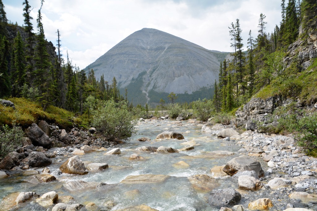 Just one beautiful scene after another - this is a small snow melt creek rushing down from the high mountains