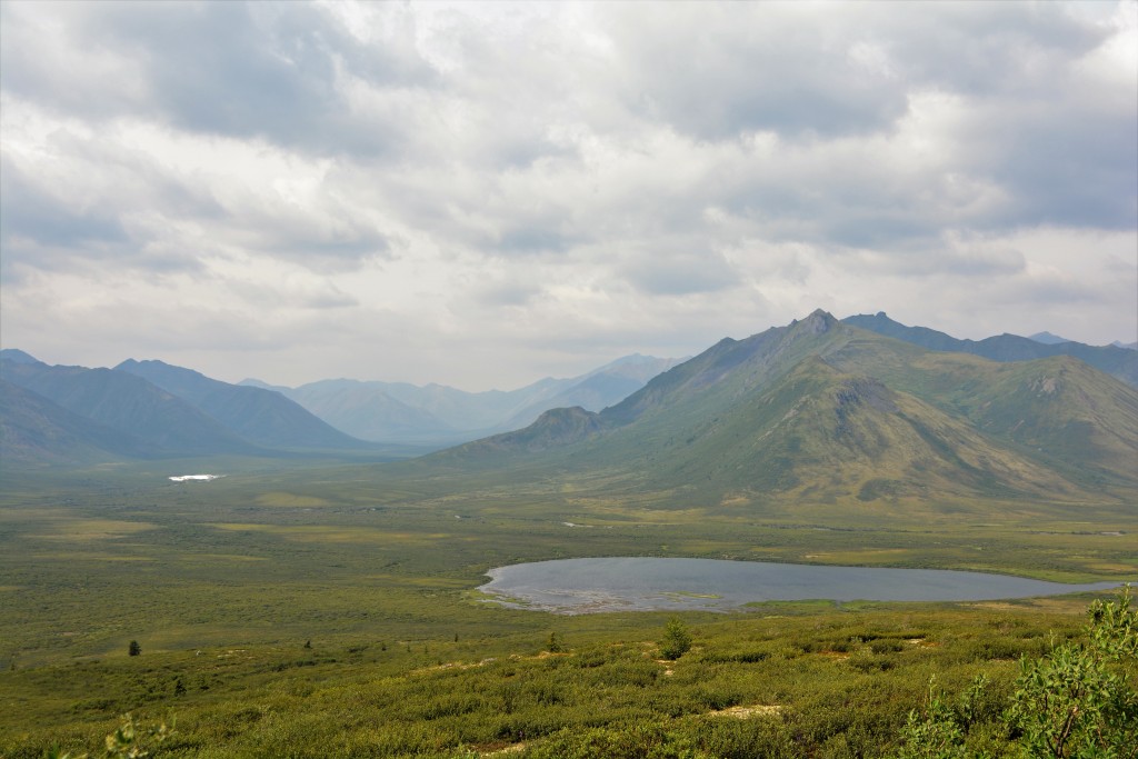 If you like big then the wide open spaces of this arctic region is the place to be