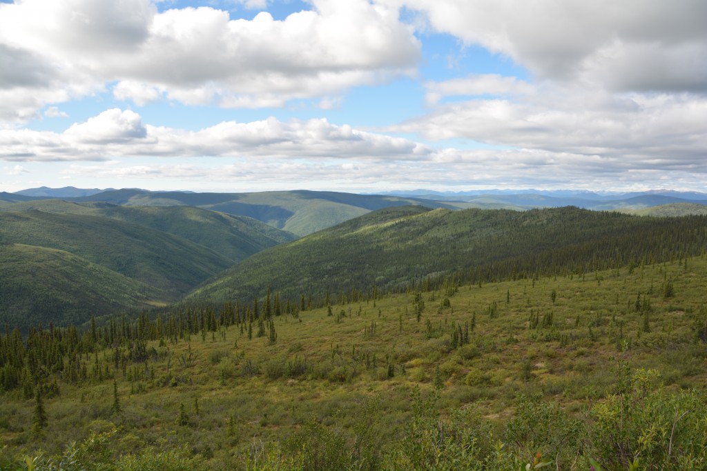 The scenery on the Top of the World Highway lived up to its name - and the dirt highway was a blast to drive