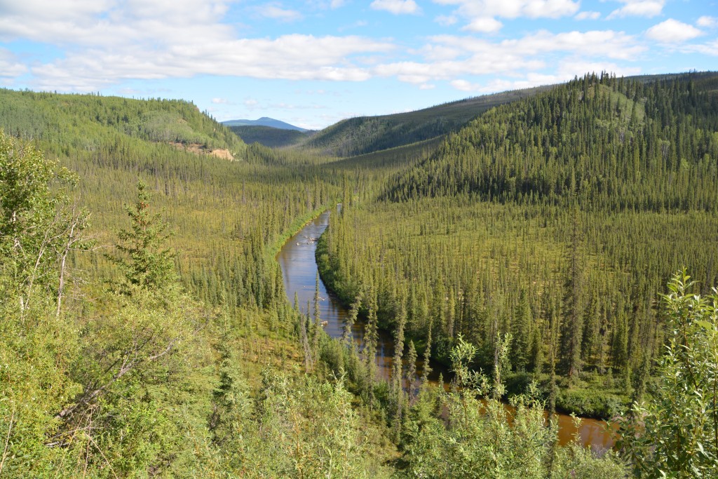 The road to Eagle led us through an amazing boreal landscape