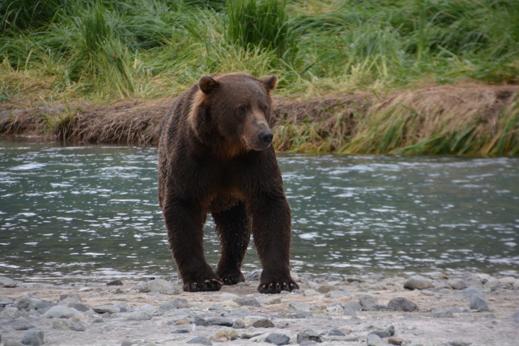 Hey, we're here but we're only spectators in your hunting, not participants