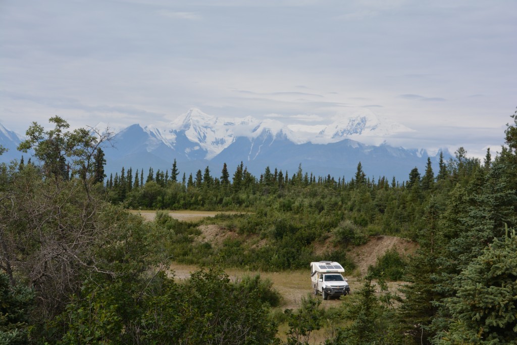 Tramp enjoys the views of the Alaska Ranges from our camp near the pipeline