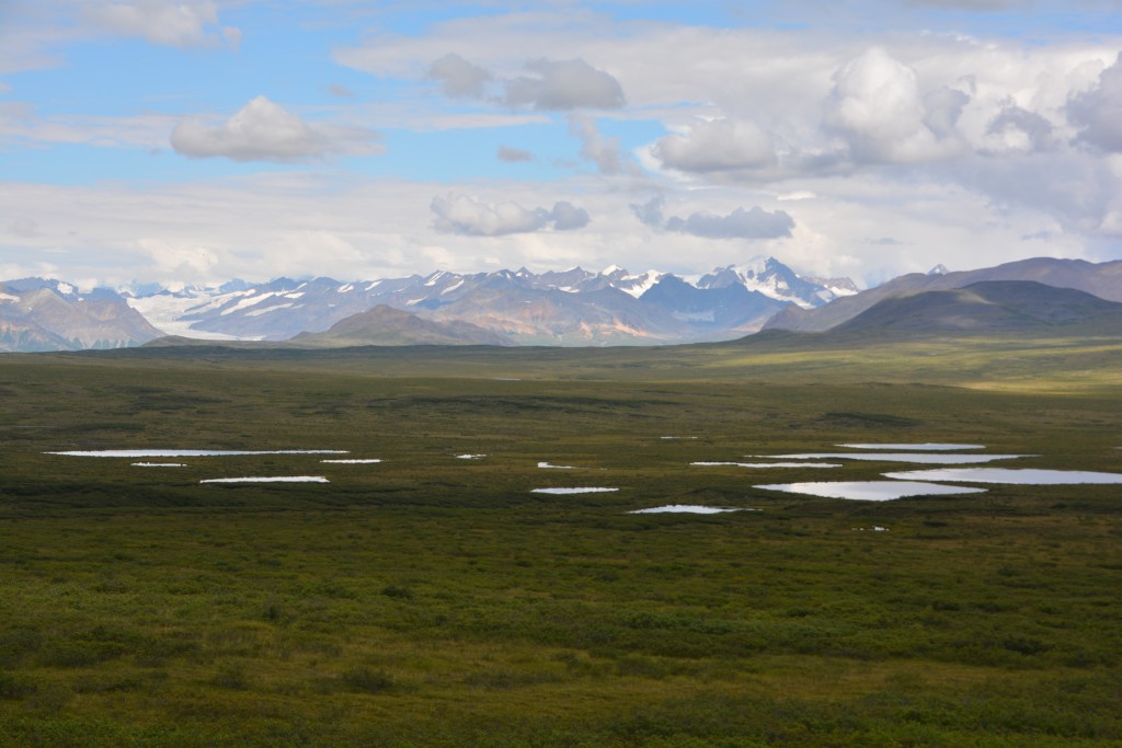 One last view from the Denali Highway