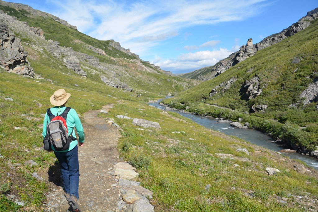 We followed the Savage River on a beautiful but popular walkthrough this glacier-carved valley