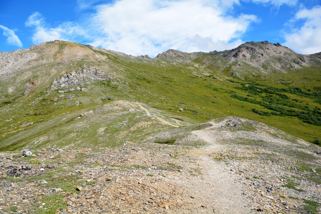 The wind blown ridge we followed - great views but difficult to walk in a straight line due to the gale