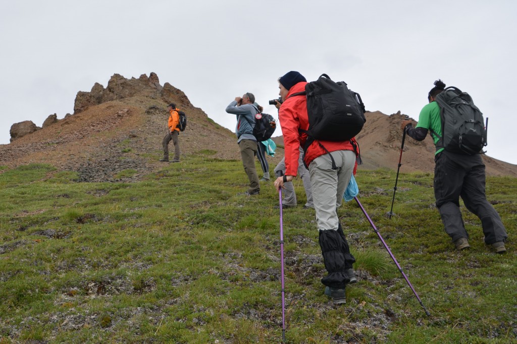 Our ranger led us up a steep slope which turned into sharp scree as we neared the top