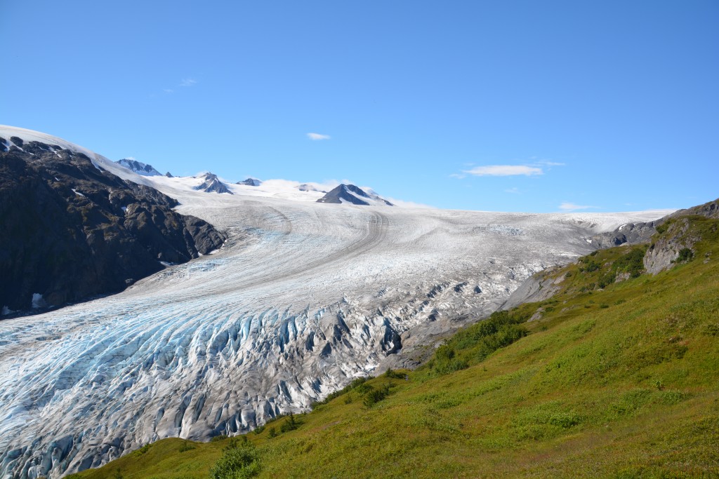 As I climbed above the tree line the glacier spread out and its origins up in the icefield came into view