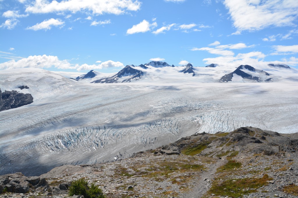 The Harding Icefield from the top - phew!