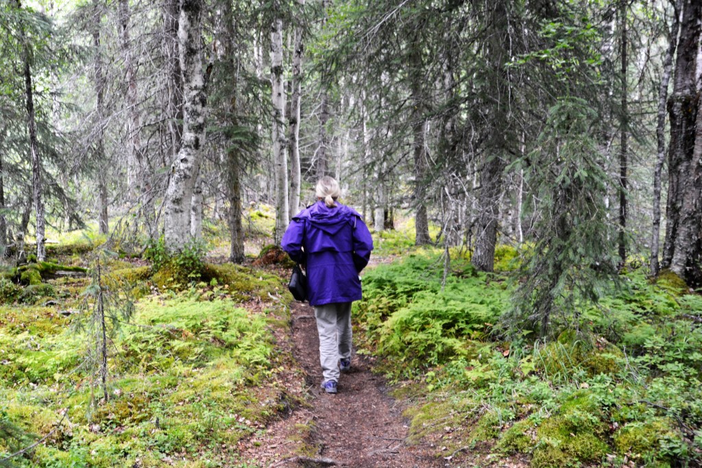 Julie leading us through the forest singing her anti-bear songs - it worked as we surprised a black bear and he quickly ran away