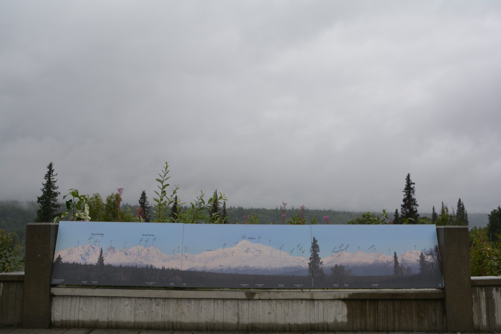 This is a view of Mount Denali - you have to believe that because the wide sign clearly says so!