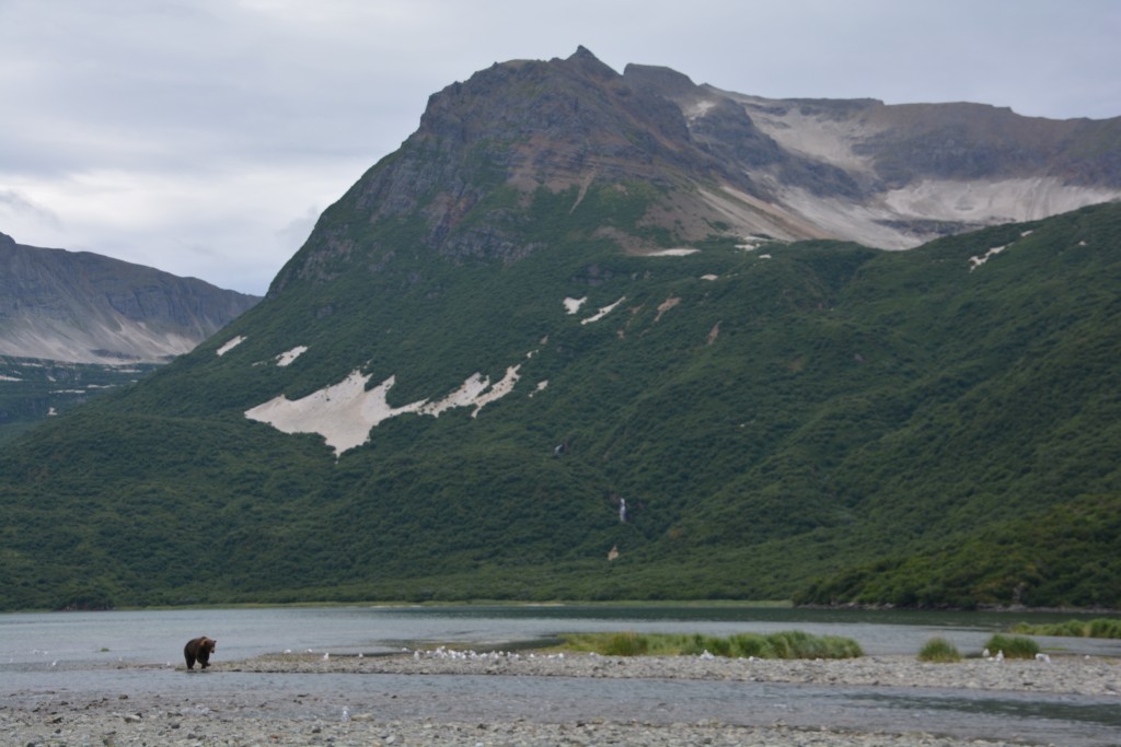 Sometimes we had to look up to just appreciate what a remote and beautiful place we were in - those white patchy areas are not snow, they are ash still remaining from a huge volcanic eruption nearby that happened in 1905