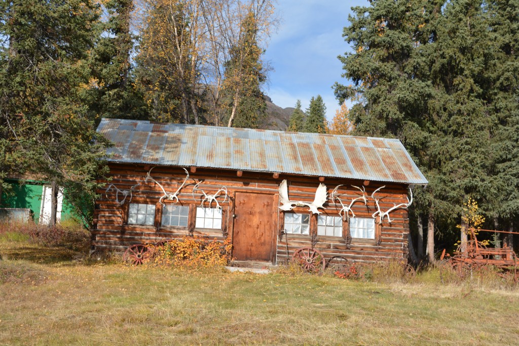 An old hunter's hut near the mine with his prizes proudly mounted on the front