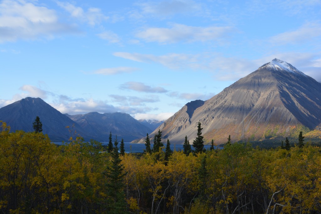 We never got tired of this stuff